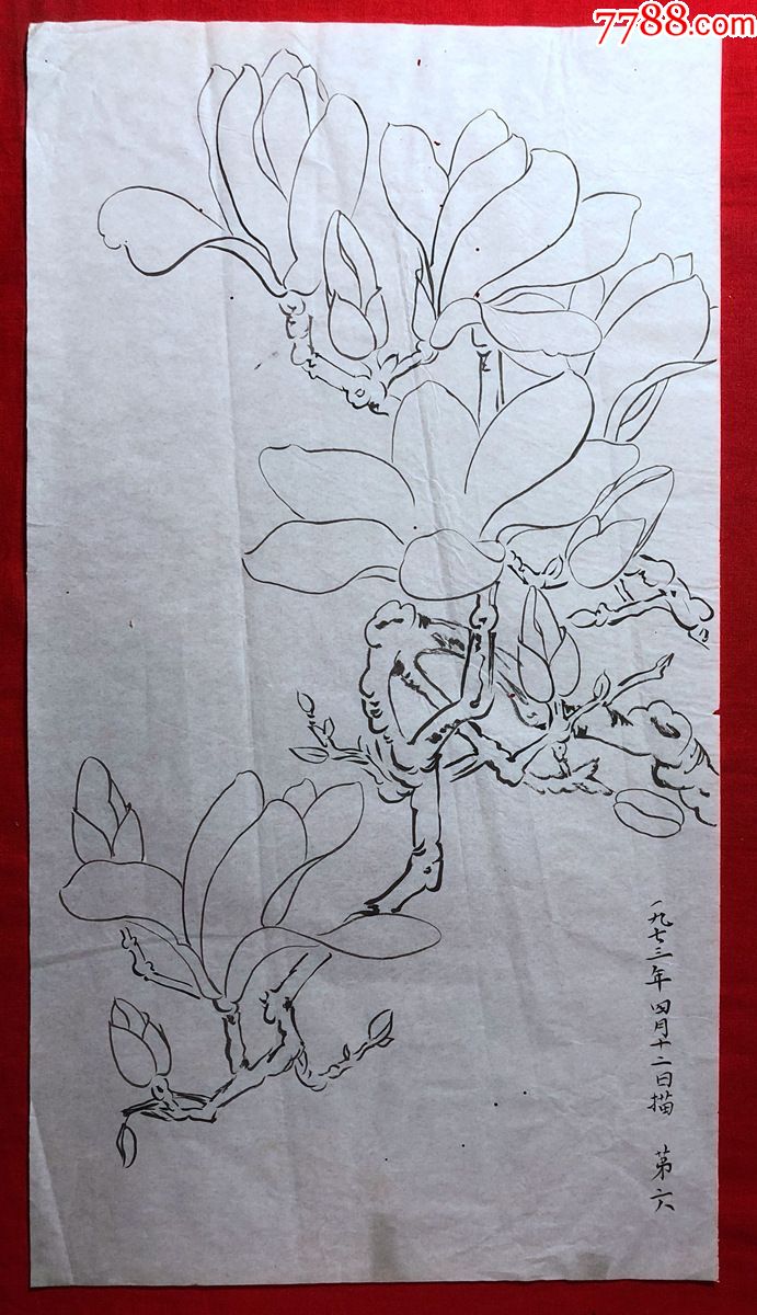 书画原作2985巴蜀画派名家江溶70年代工笔白描玉兰花
