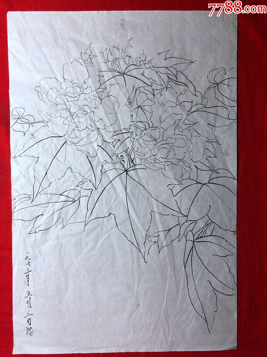 书画原作2992巴蜀画派名家江溶70年代工笔白描芙蓉花