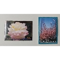 联合国纽约1997年玫瑰花和樱花2全新(se69722240)_7788收藏__收藏热线