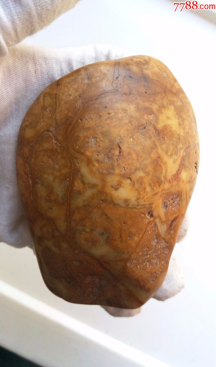 (硬水铝石)原石籽料像牙石,天然形成的龟纹石