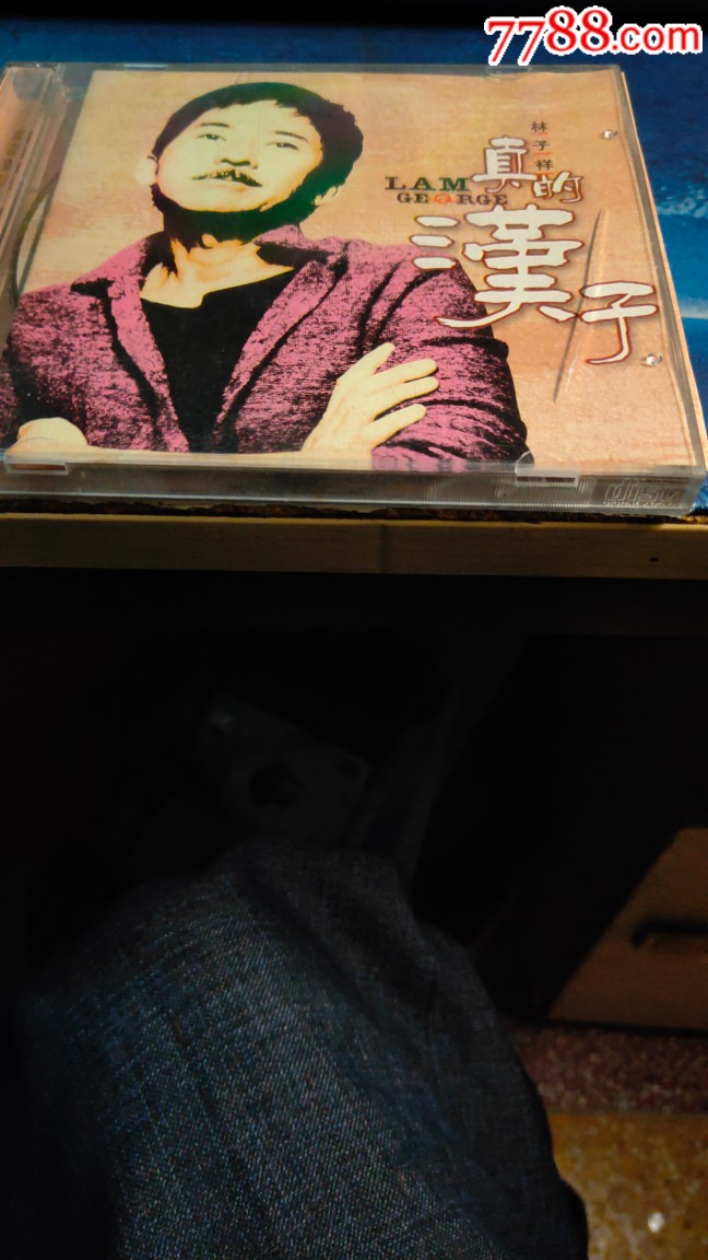 真的汉子.林子祥