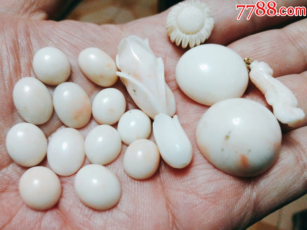 美国回流深海孩儿面珊瑚大小戒面