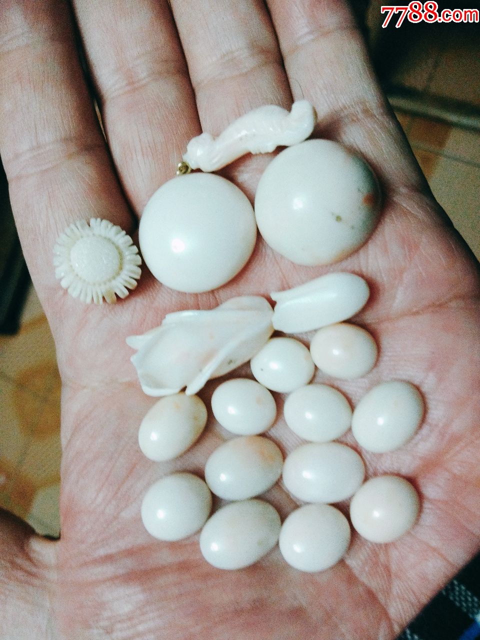 美国回流深海孩儿面珊瑚大小戒面