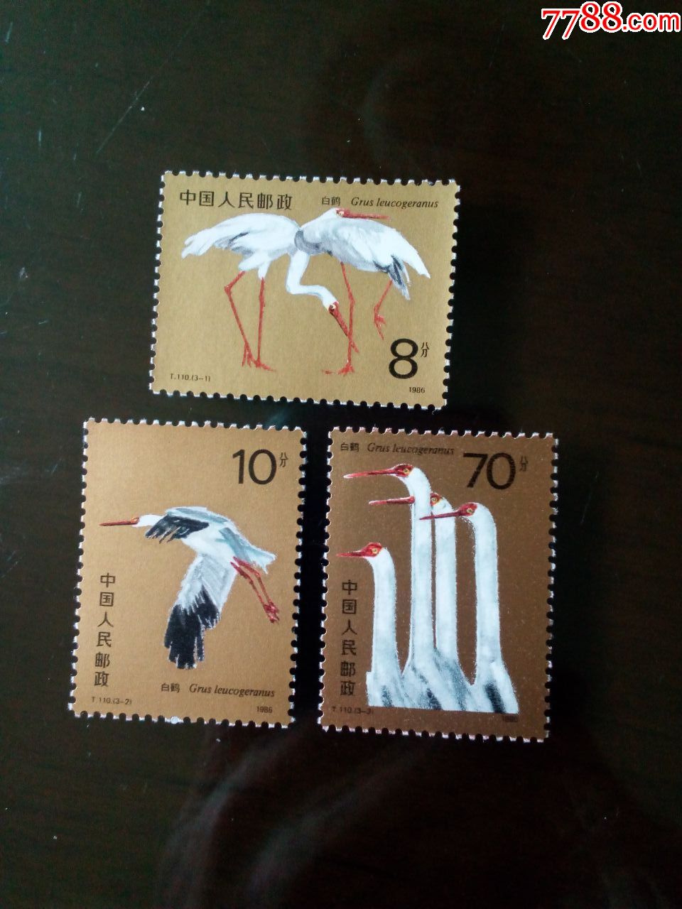 t110白鹤-新中国邮票-7788收藏__收藏热线