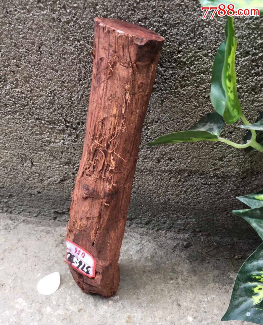 天然高油缅甸降真香木头一根,保真