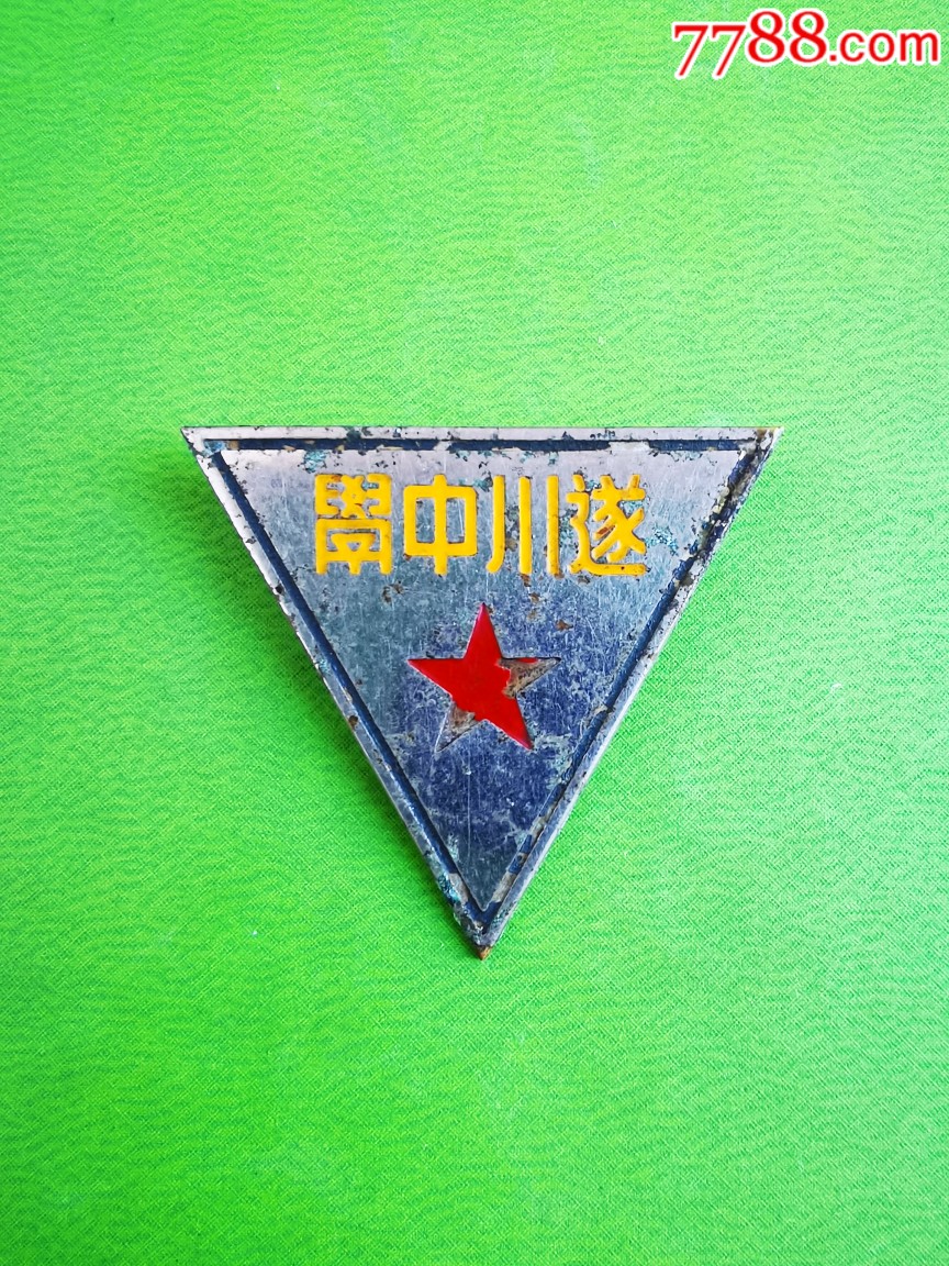 50年代江西遂川中学校徽