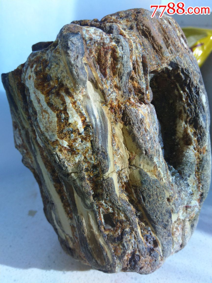 树化供生体摆件-价格:160元-se70007261-硅化木/木化石-零售-7788收藏
