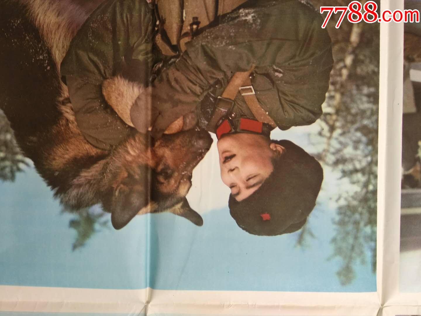 白桦林的哨所-电影海报-7788收藏__收藏热线