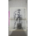 七八十年代素描画（印刷品）——男人体52.2*37.7cm8品【世界绘画大师(se70073746)_7788收藏__收藏热线