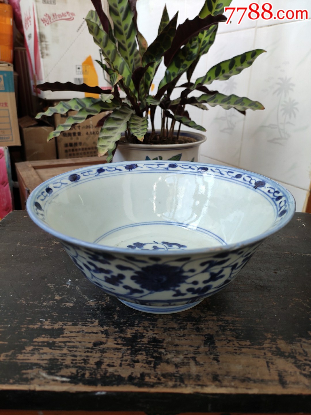 青花缠枝莲大海碗一只