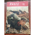 解放军画报1960年第16期（不缺页）(se70107110)_7788收藏__收藏热线