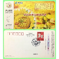 2003年癸未年天水北道（已撤销）邮政书城向日葵图金卡盖97年麦积山石窟纪念戳(se70114965)_7788收藏__收藏热线