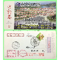 2006年南京交通技师学院金卡盖安徽芜湖第五届世界杯女子足球赛纪念戳邮资机补资(se70118125)_7788收藏__收藏热线