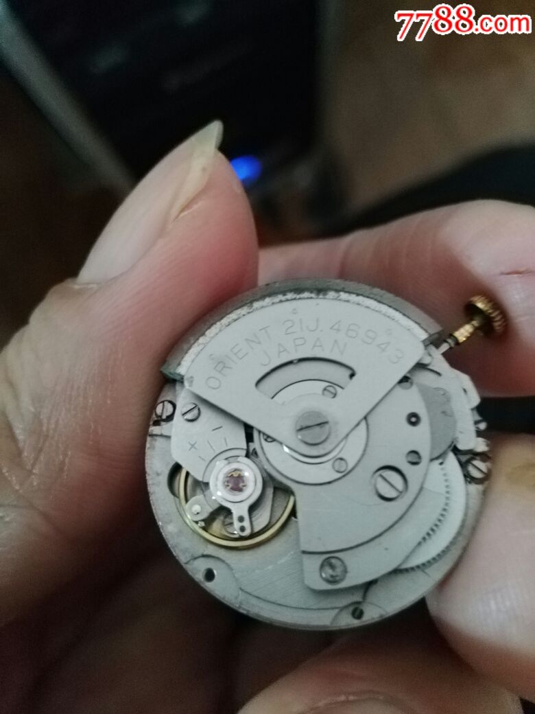 双狮机芯_手表/腕表_第1张_7788钟表收藏