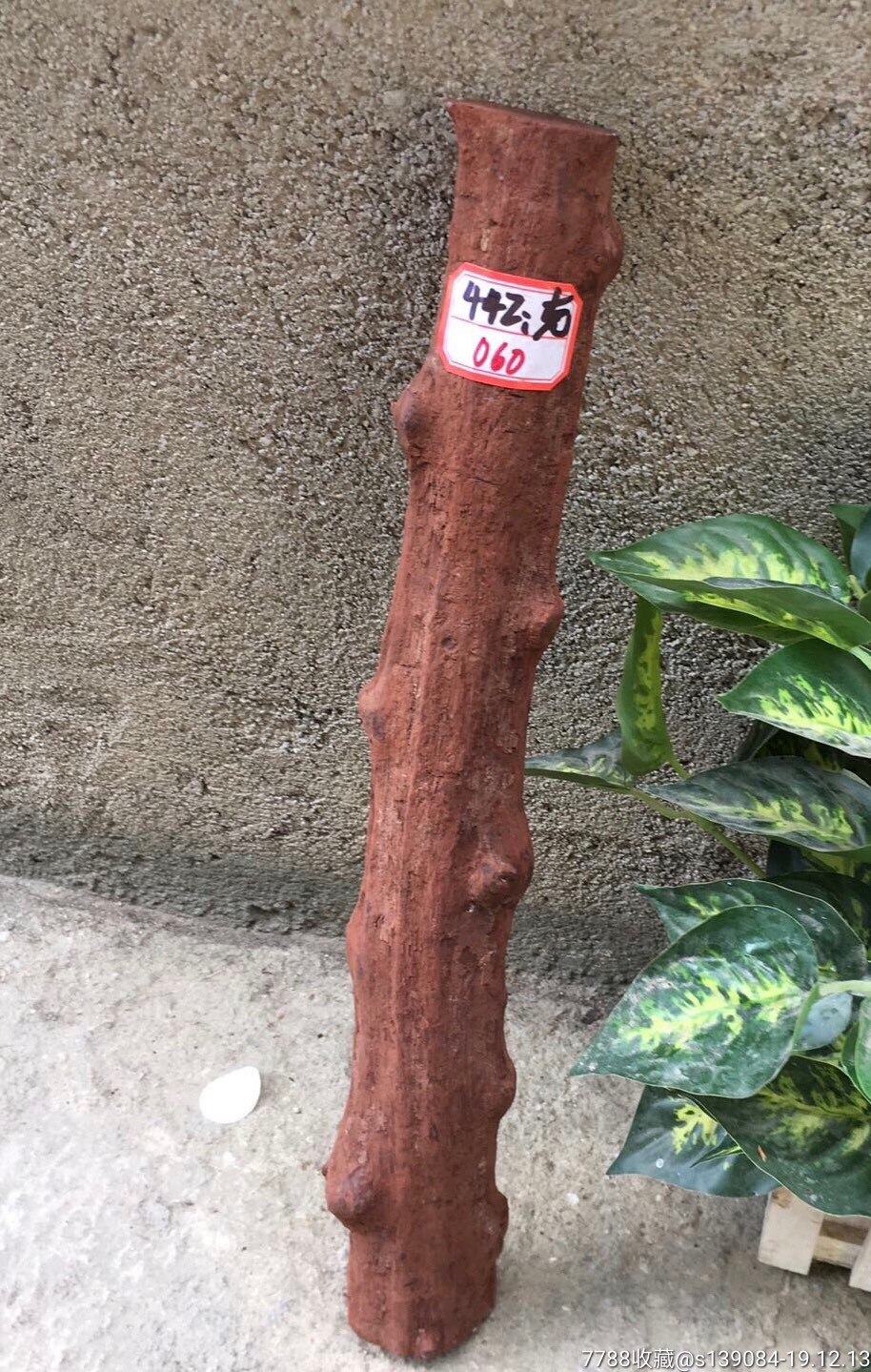 缅甸降真香木头一根,包真