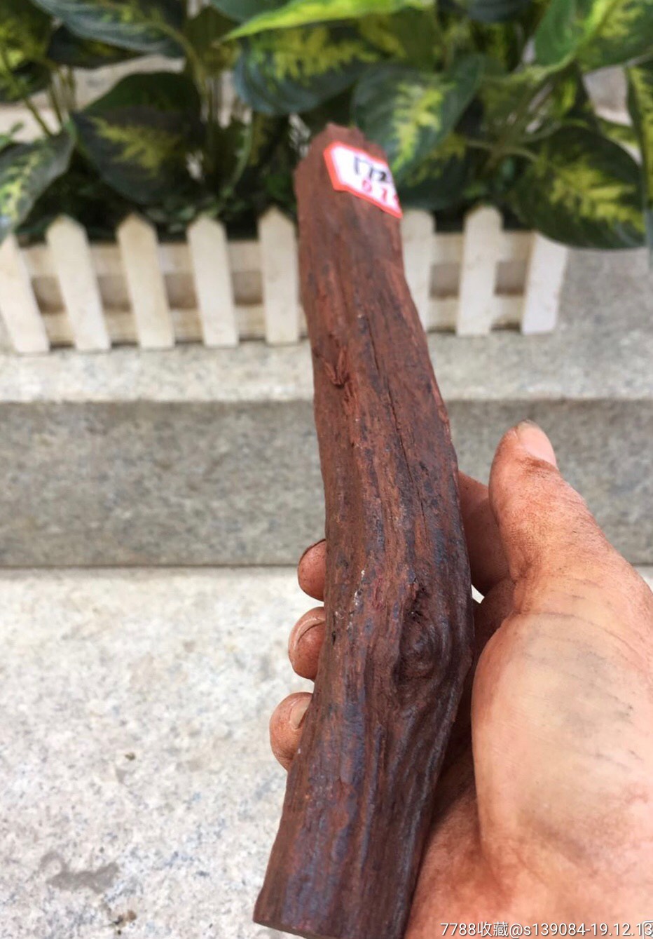 缅甸降真香木头一根,包真