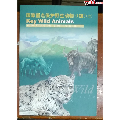 PZ-72动物（二）邮折(se70135639)_7788收藏__收藏热线