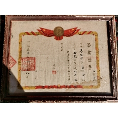 毕业证(se70141448)_7788收藏__收藏热线