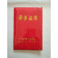 荣誉证书[平德利96年形象杯先进个人](se70144964)_7788收藏__收藏热线