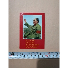 毛泽东主席检阅红卫兵、林彪题词(se70145386)_7788收藏__收藏热线