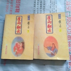 覆雨翻云上下册(se70145438)_7788收藏__收藏热线