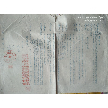 1954年浙江省上虞县供销合作总社调拨合同1张（份）(se70145603)_7788收藏__收藏热线