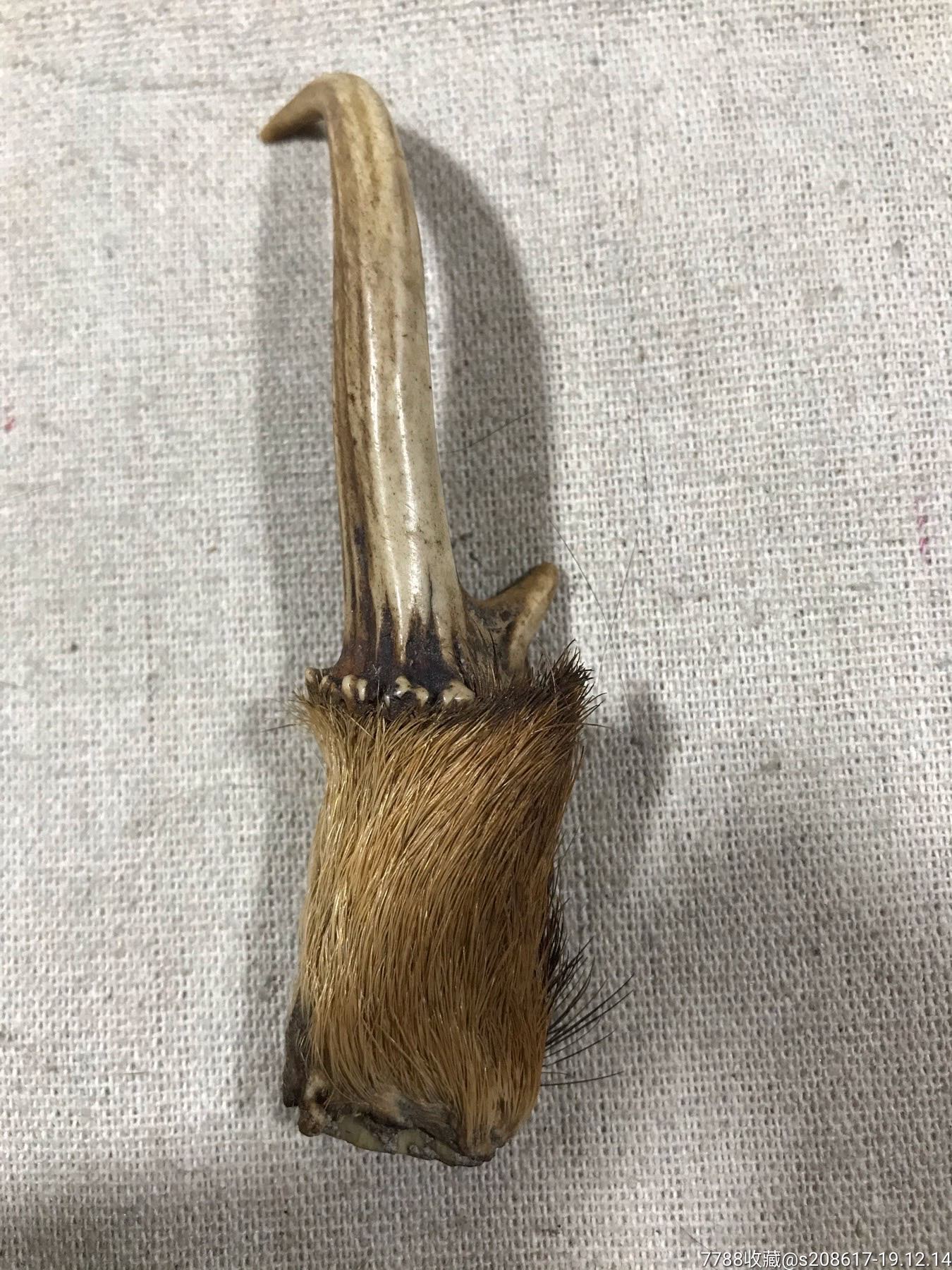 ���ӽ�90���(se70146497)_