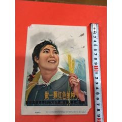 做一颗红色的种子(se70146920)_7788收藏__收藏热线