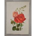 苏联版明信片《玫瑰？》(se70147300)_7788收藏__收藏热线