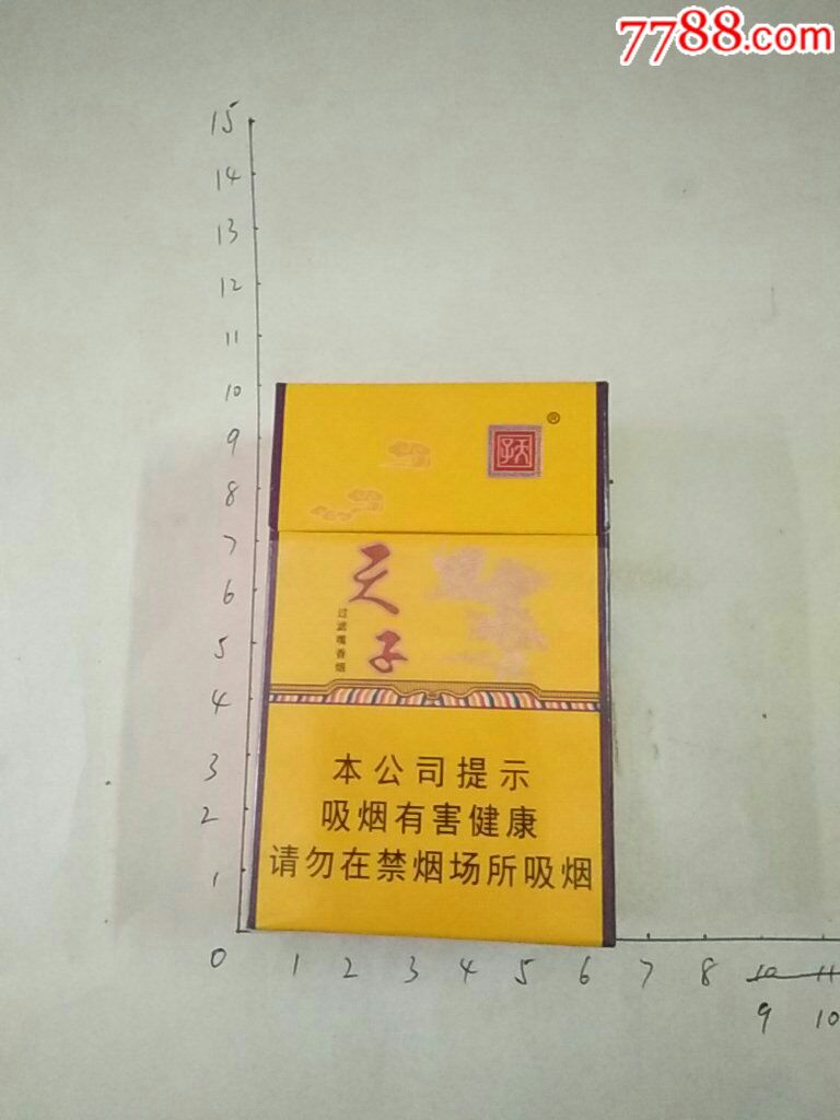 天子重慶中煙