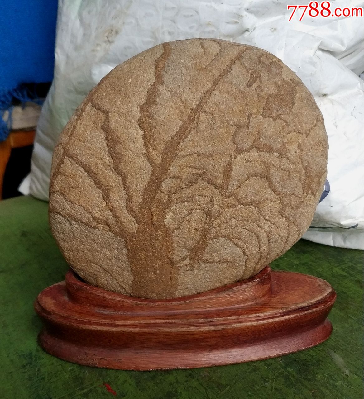 精致纹理奇石图案石水冲石古树图案