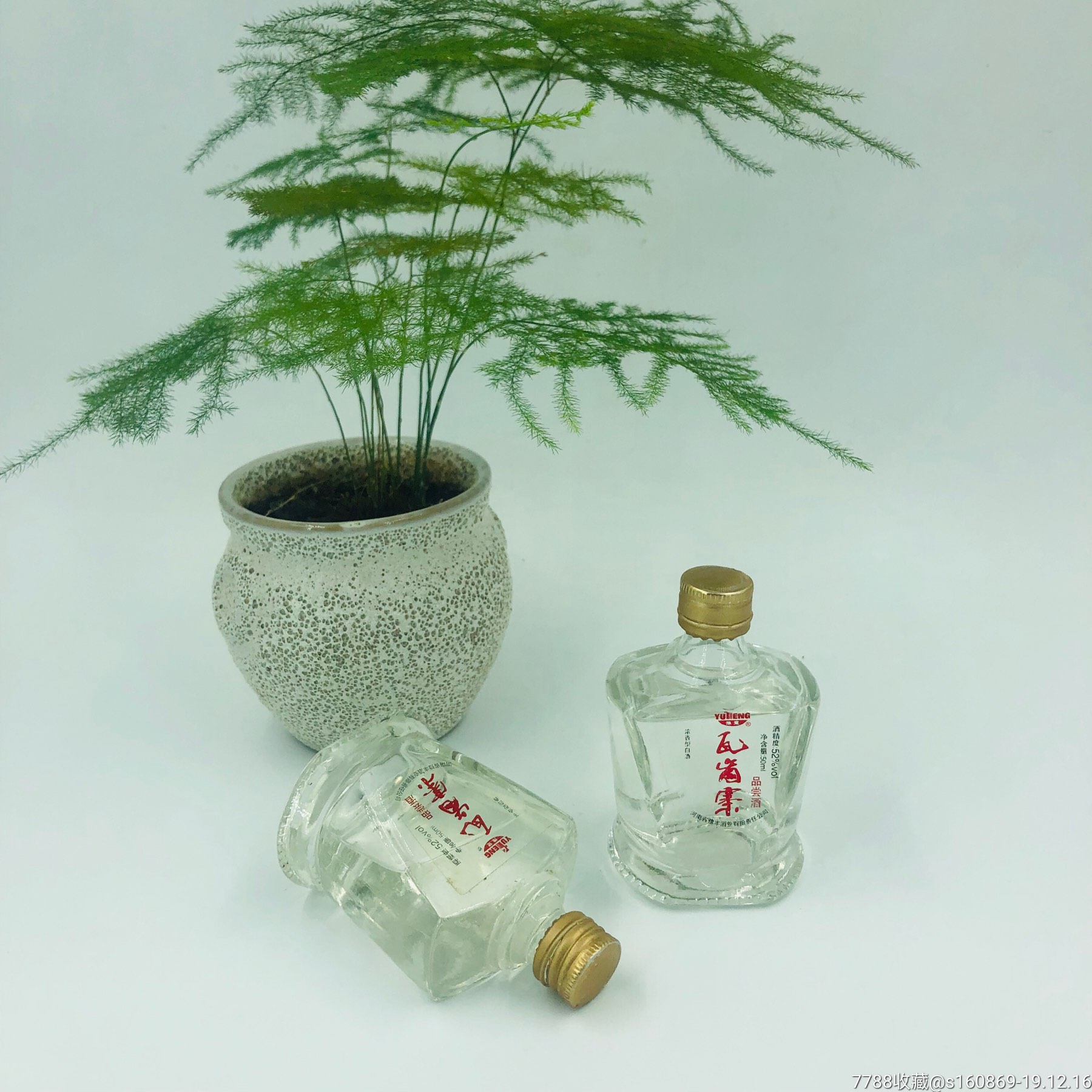 包邮瓦岗寨酒50ml/52/2010年小酒版收藏(一瓶价格)