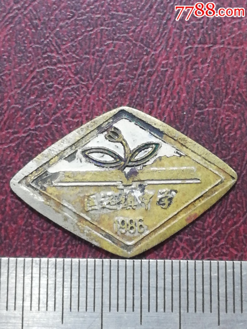 匡远镇中学-价格:80元-se70203941-校徽/毕业章-零售-7788收藏__收藏
