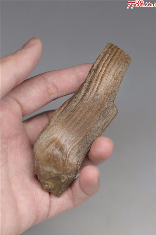 黑龙江水冲硅化木化石手把件树化石像草化石头原石雕料奇石山子料