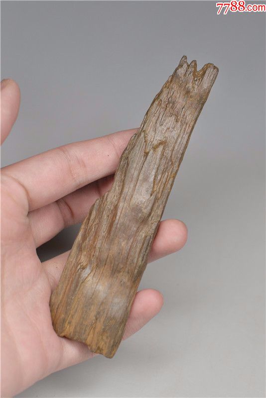 黑龙江水冲硅化木化石手把件树化石像草化石头原石雕料奇石山子料