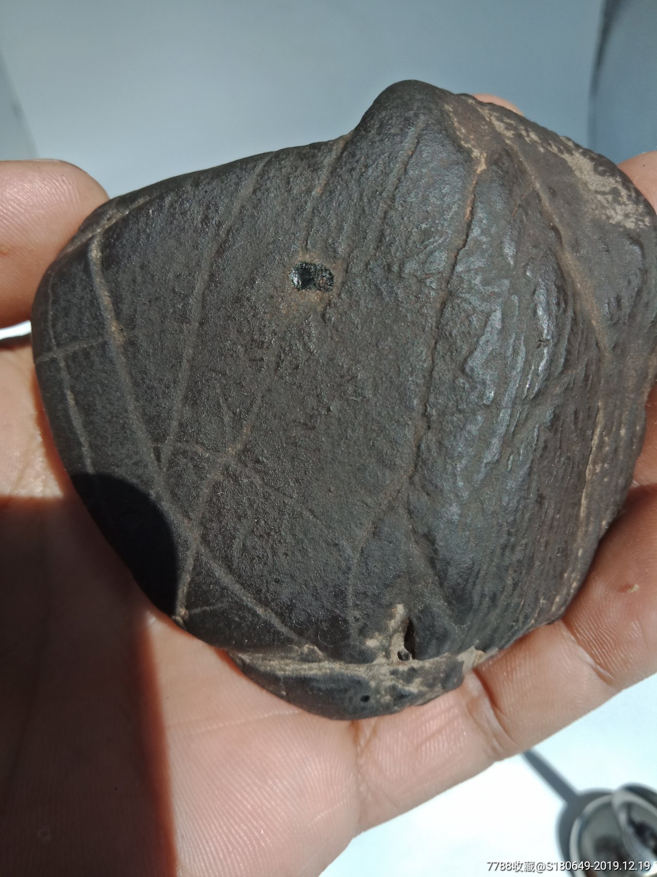 石铁陨石(中吸磁铁)