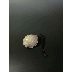 海螺(se70246113)_7788收藏__收藏热线