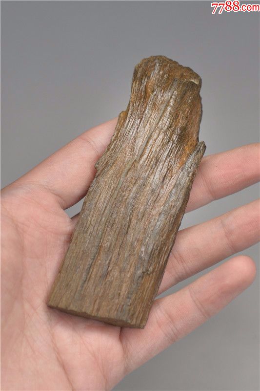 黑龙江水冲硅化木化石手把件树化石像草化石头原石雕料奇石山子料