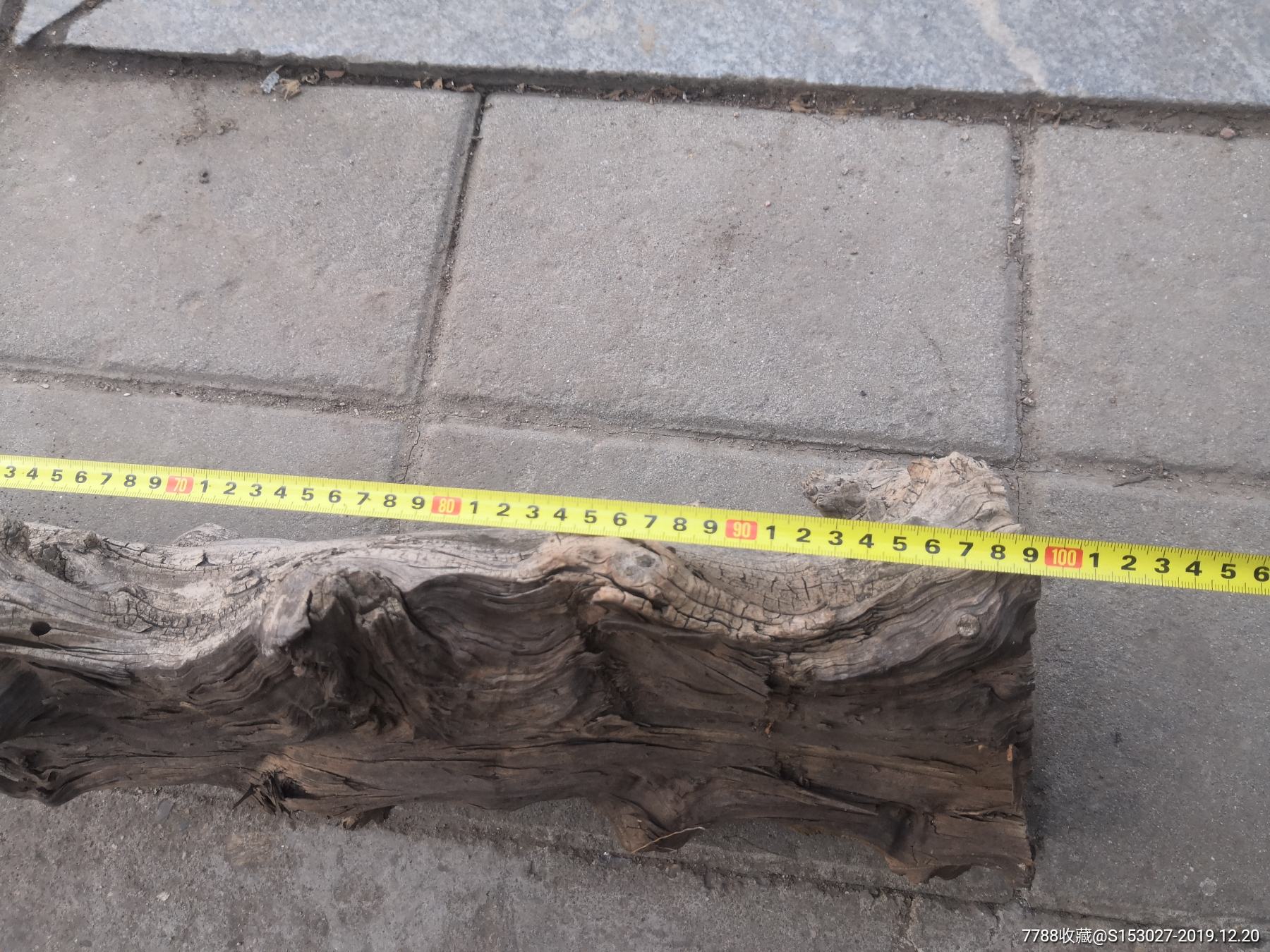 自然风化老柏木