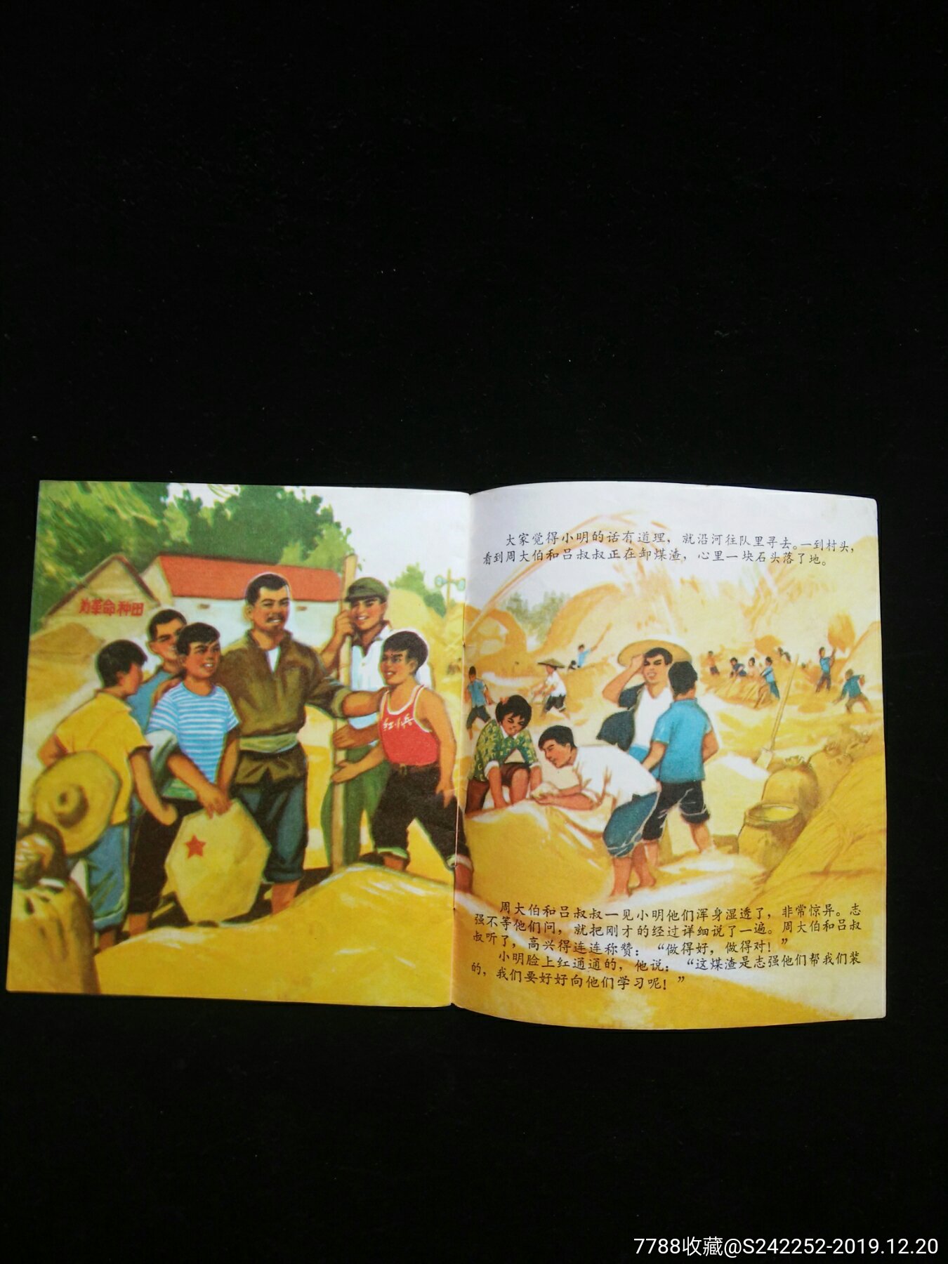 寻船(文革精品,全网性价比最高)