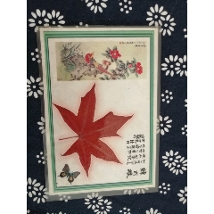 枫叶127809;(se70261688)_7788收藏__收藏热线