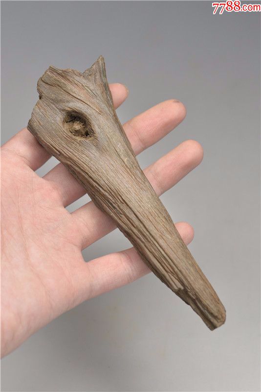 黑龙江水冲硅化木化石手把件树化石像草化石头原石雕料奇石山子料