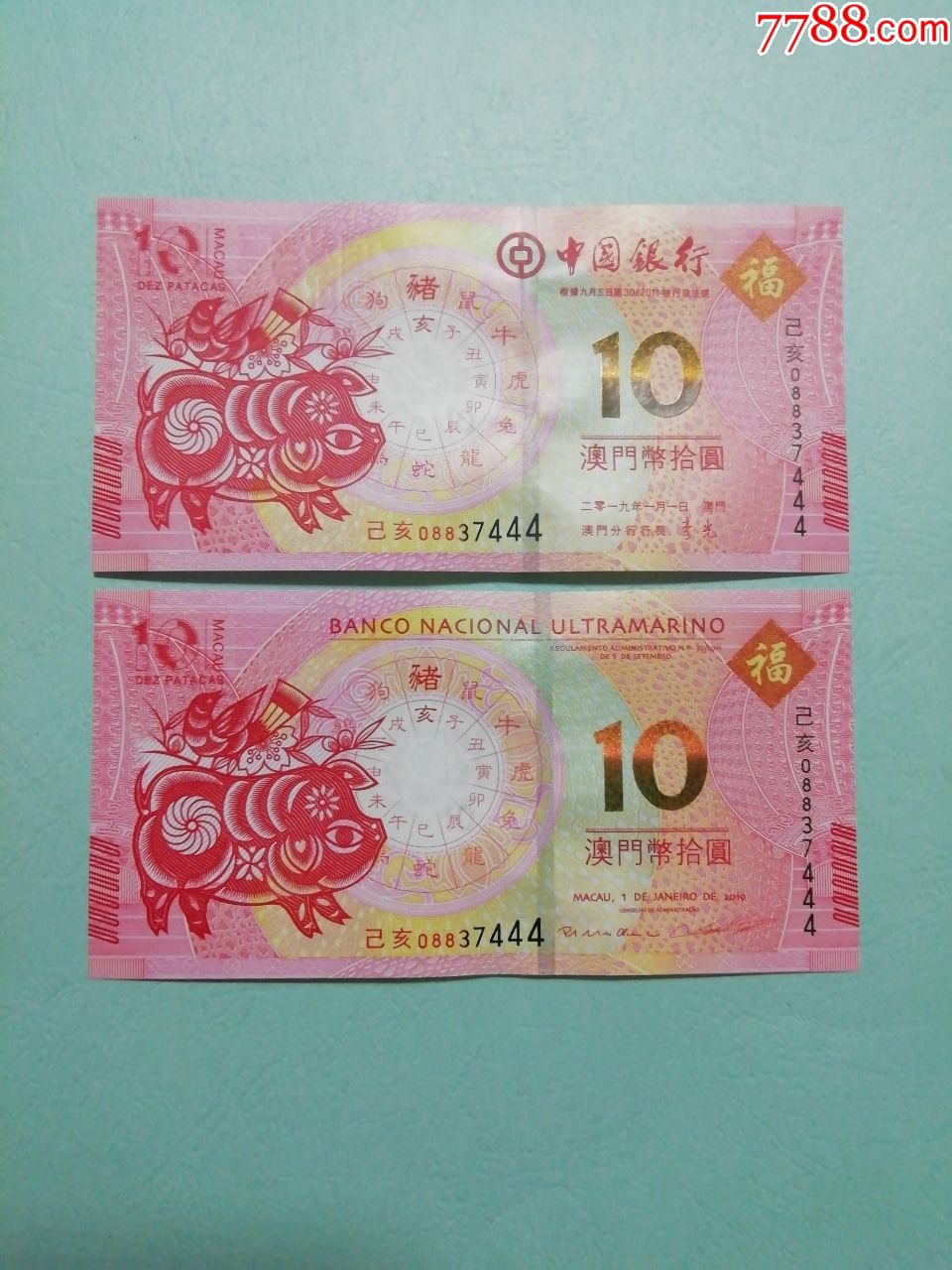 澳门生肖钞猪钞豹子号全同号444-价格:140元-se70316363-港澳台钱币