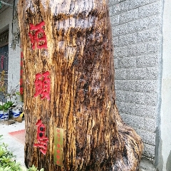 缅甸千年铁梨木(se70356389)_7788收藏__收藏热线