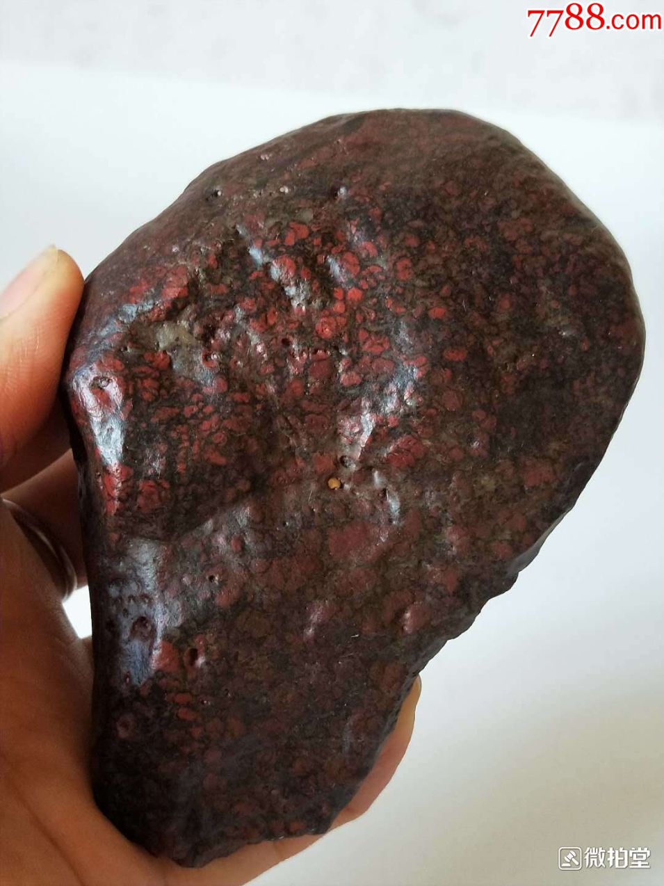 1377新疆哈密红花伊丁陨石陨铁372克