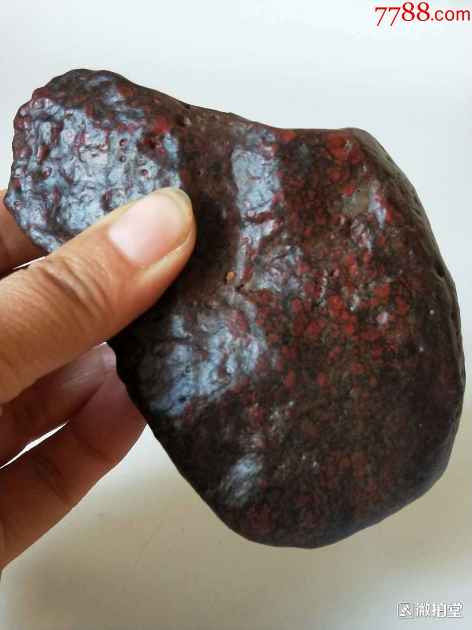 1377新疆哈密红花伊丁陨石陨铁372克