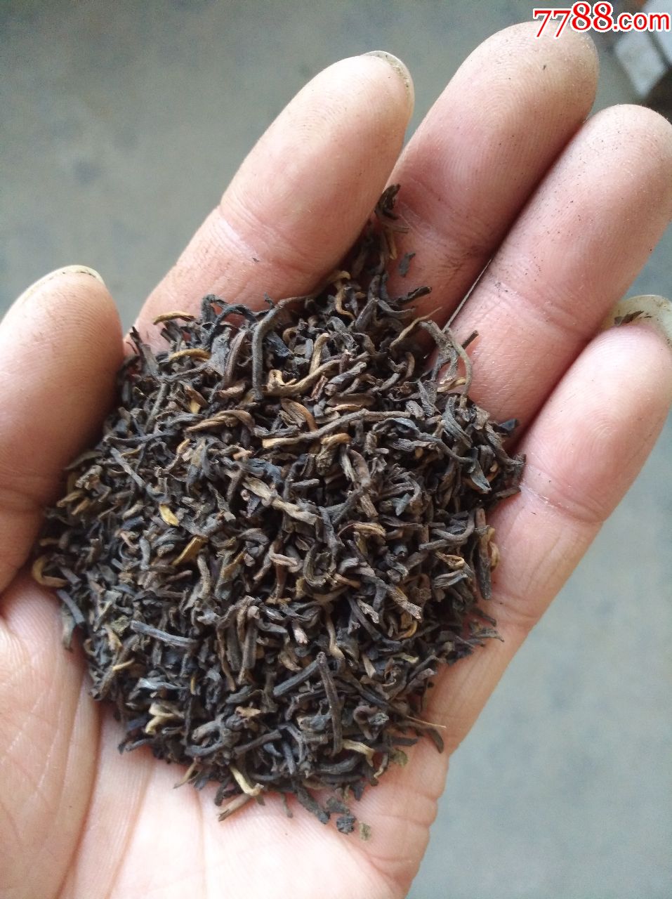 乔记瓷罐装老普洱茶