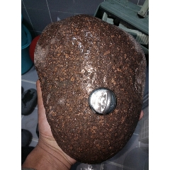 石铁橄榄陨石(强吸磁)