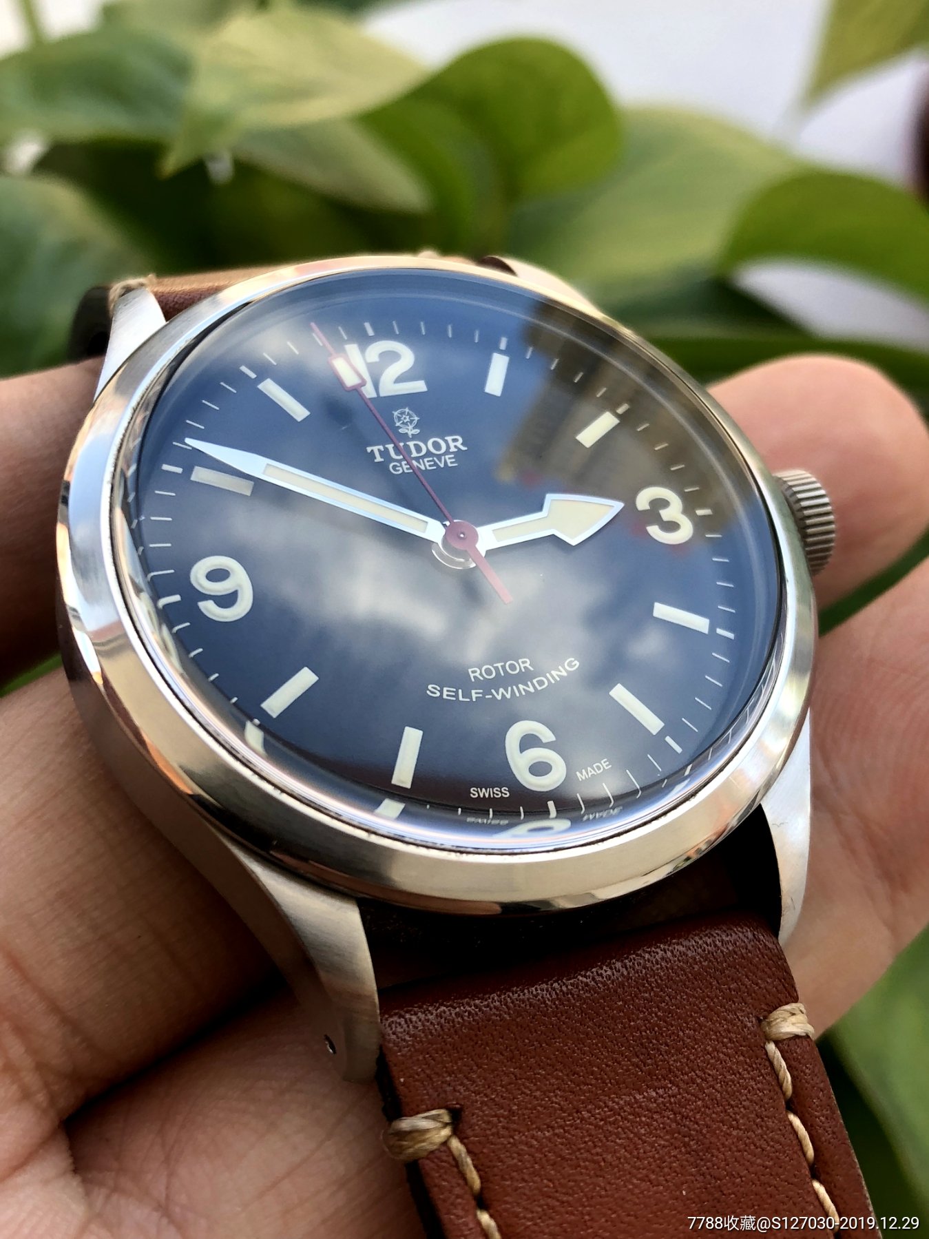 帝舵复古游骑兵型号79910小花