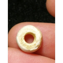 高古千年砗，磲，珠(se70465661)_7788收藏__收藏热线